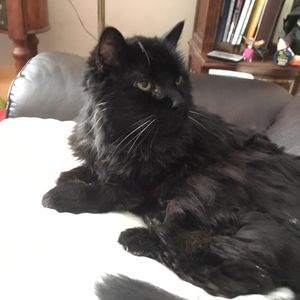 Meet your Posher, Alicia